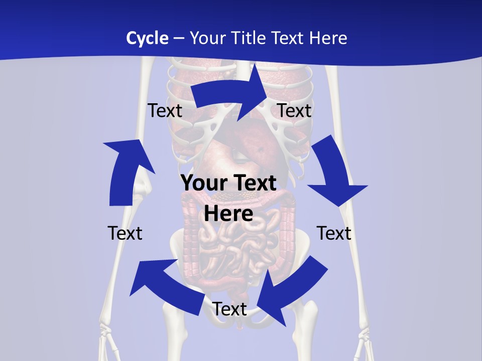 Anatomy Healthy Education PowerPoint Template