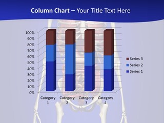 Anatomy Healthy Education PowerPoint Template