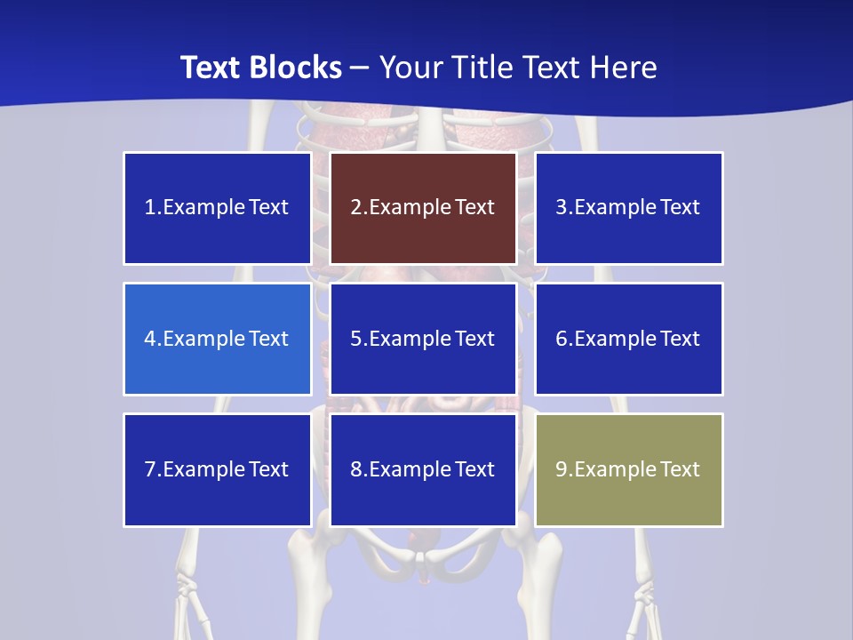 Anatomy Healthy Education PowerPoint Template