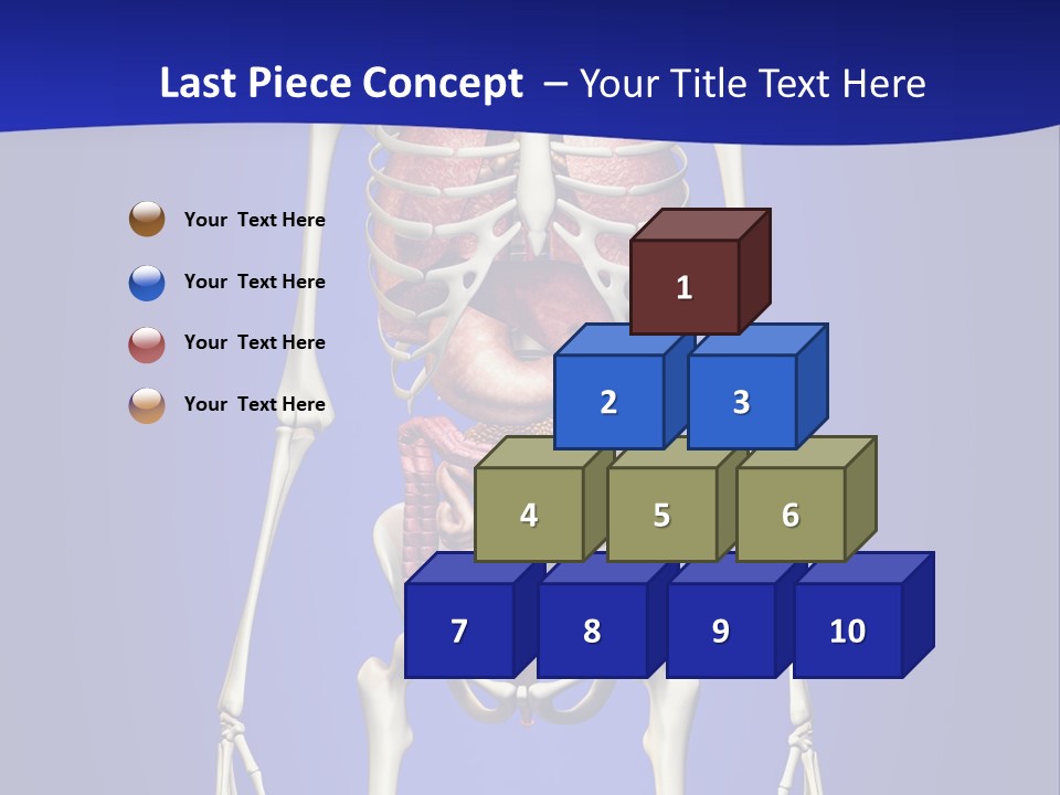 Anatomy Healthy Education PowerPoint Template
