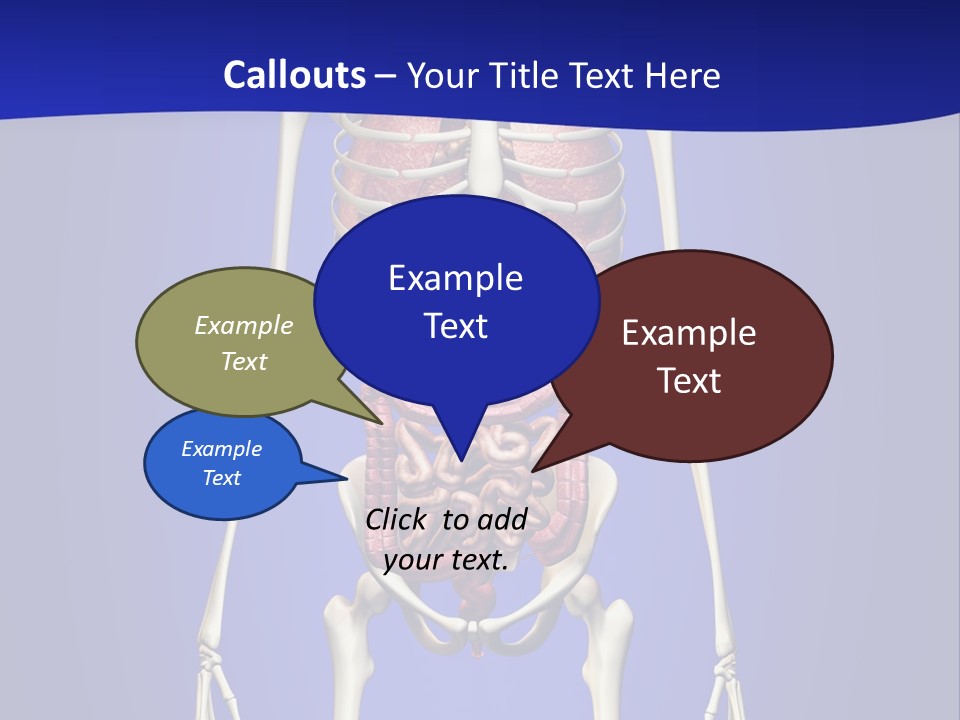 Anatomy Healthy Education PowerPoint Template