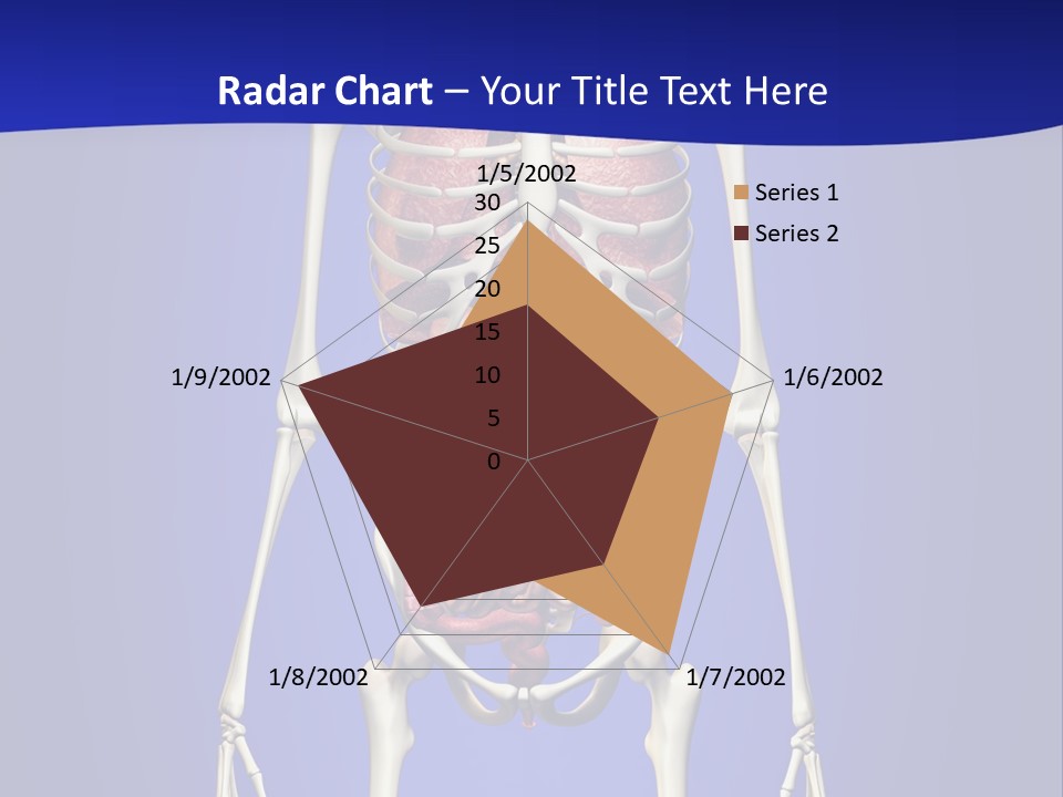 Anatomy Healthy Education PowerPoint Template