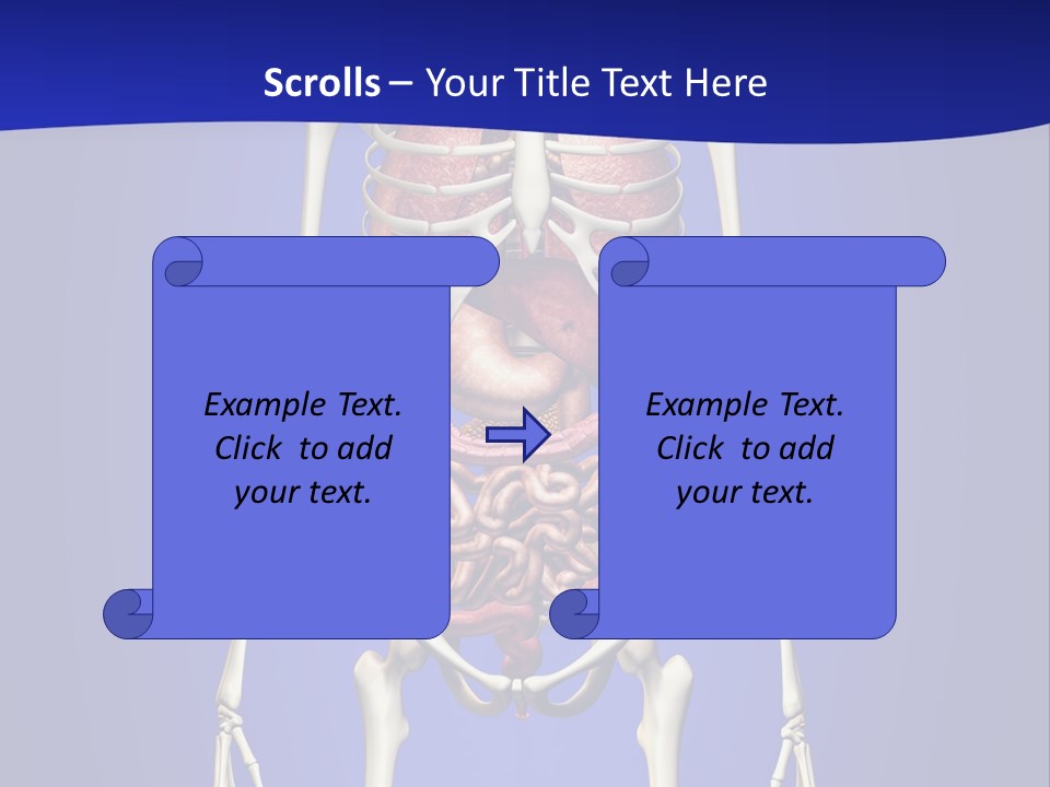 Anatomy Healthy Education PowerPoint Template