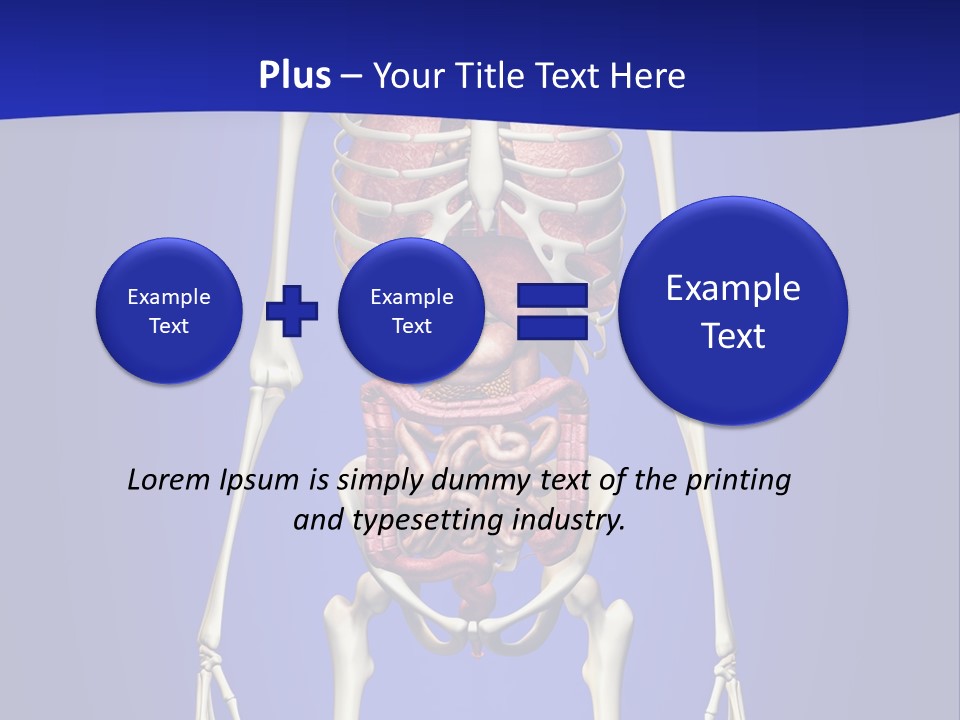 Anatomy Healthy Education PowerPoint Template