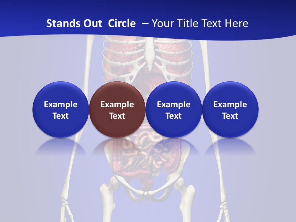 Anatomy Healthy Education PowerPoint Template