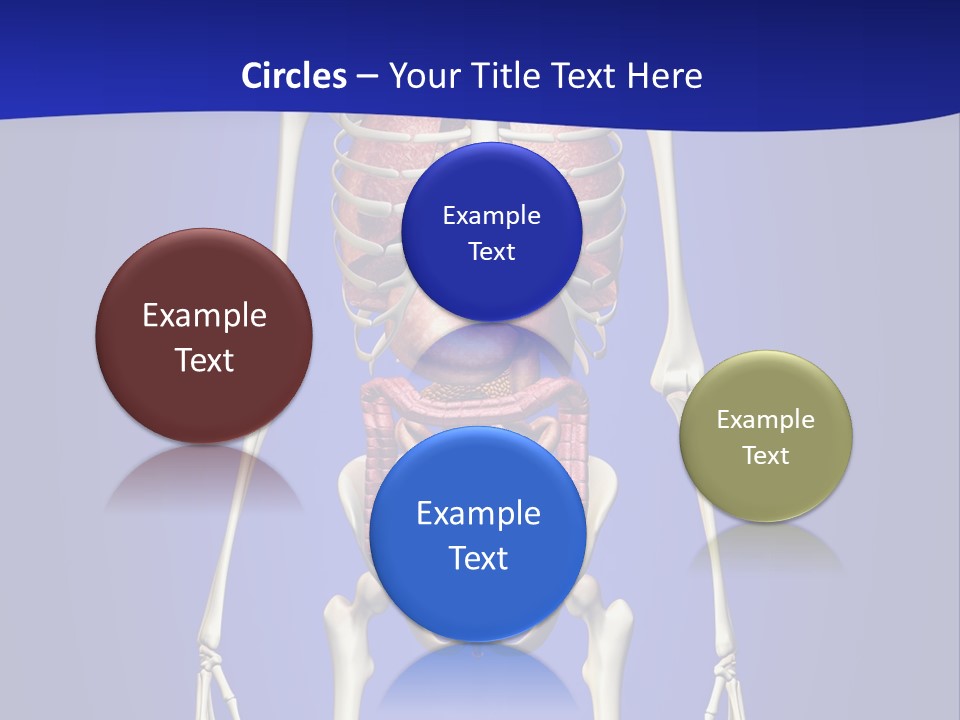 Anatomy Healthy Education PowerPoint Template