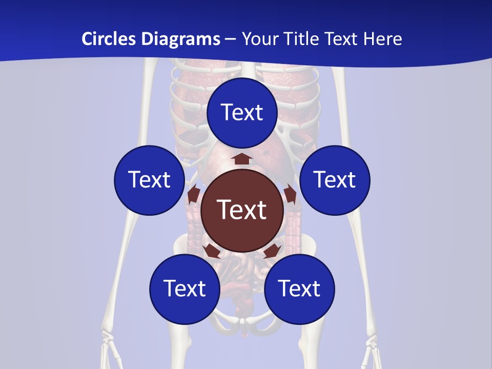 Anatomy Healthy Education PowerPoint Template
