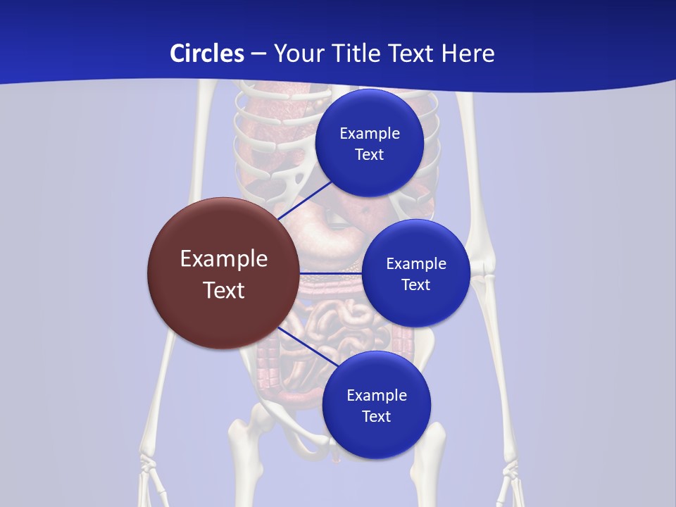 Anatomy Healthy Education PowerPoint Template