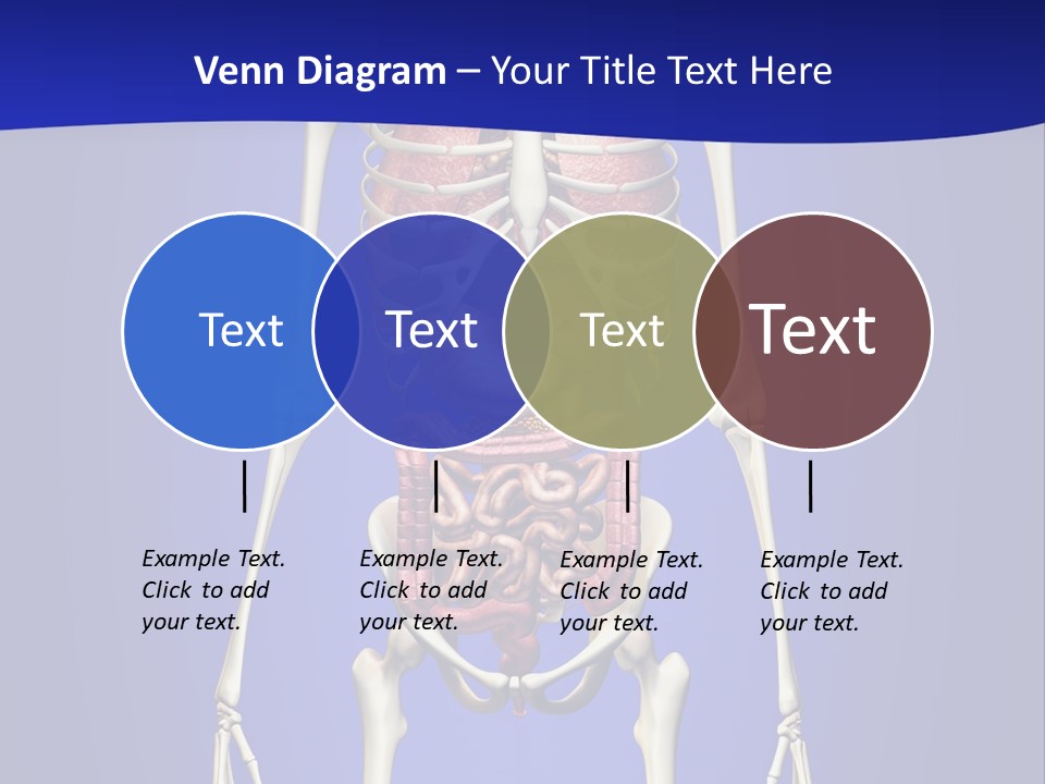 Anatomy Healthy Education PowerPoint Template