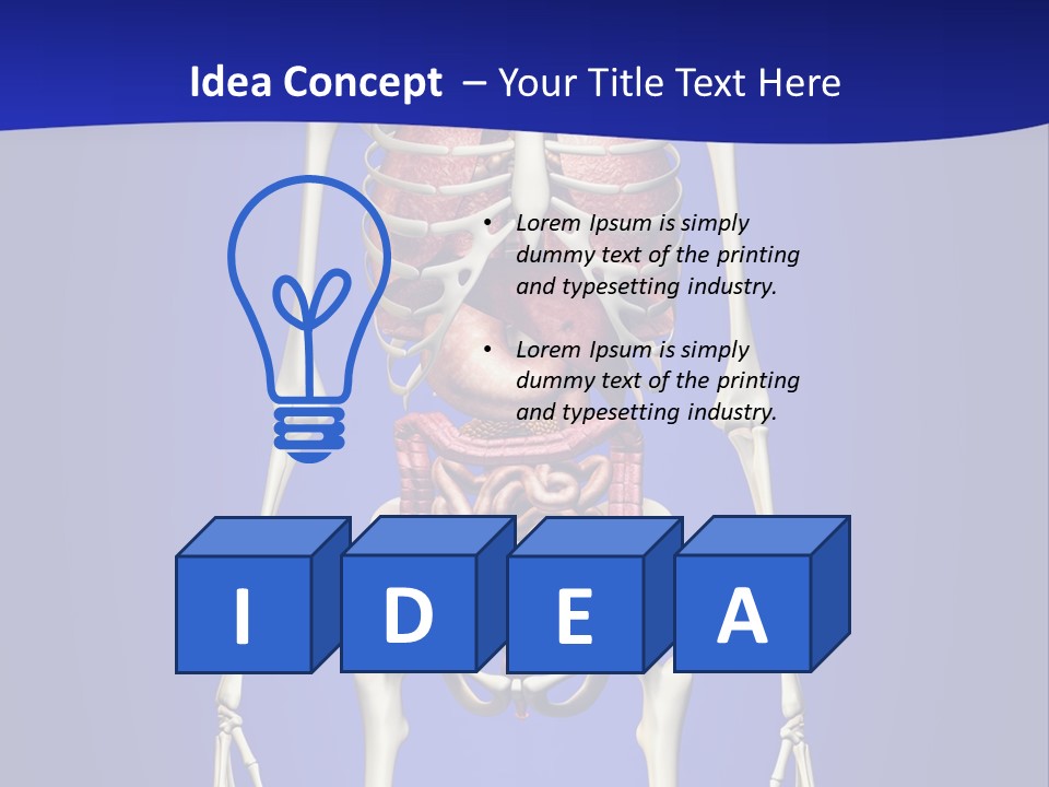 Anatomy Healthy Education PowerPoint Template