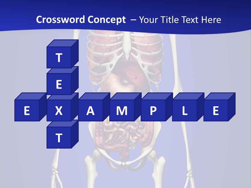 Anatomy Healthy Education PowerPoint Template