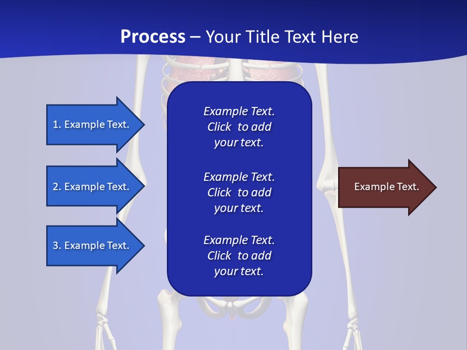 Anatomy Healthy Education PowerPoint Template