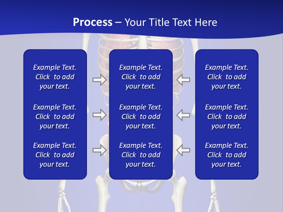 Anatomy Healthy Education PowerPoint Template