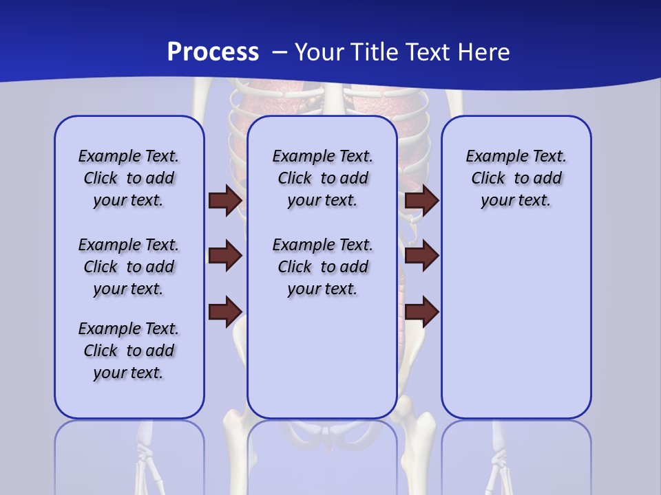 Anatomy Healthy Education PowerPoint Template