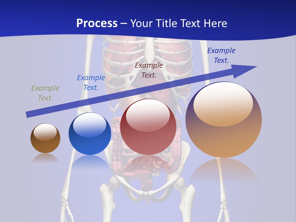 Anatomy Healthy Education PowerPoint Template