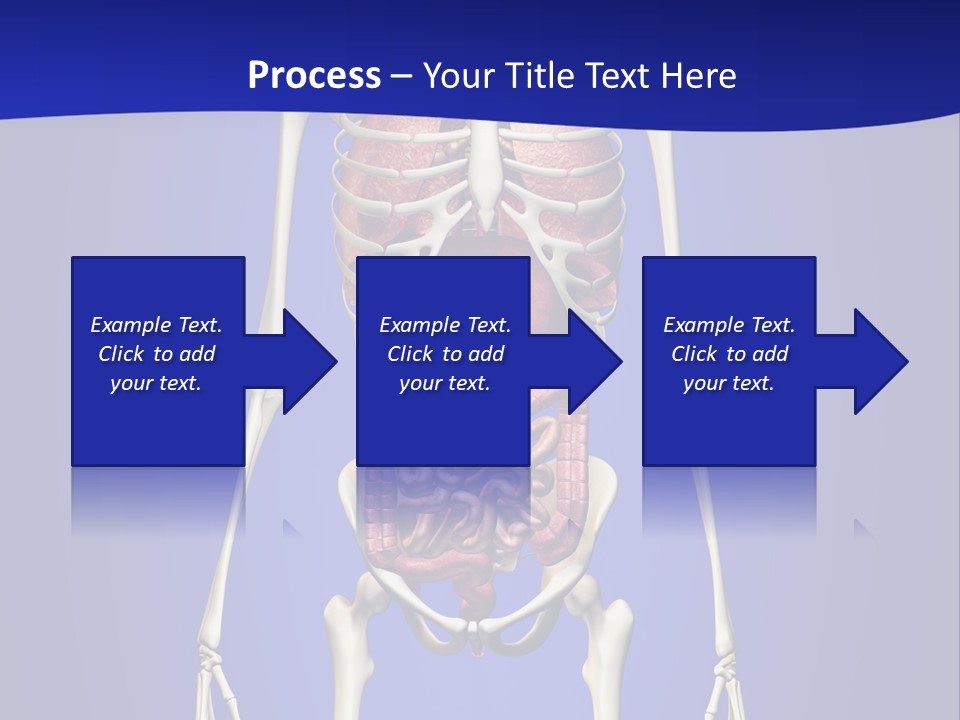 Anatomy Healthy Education PowerPoint Template