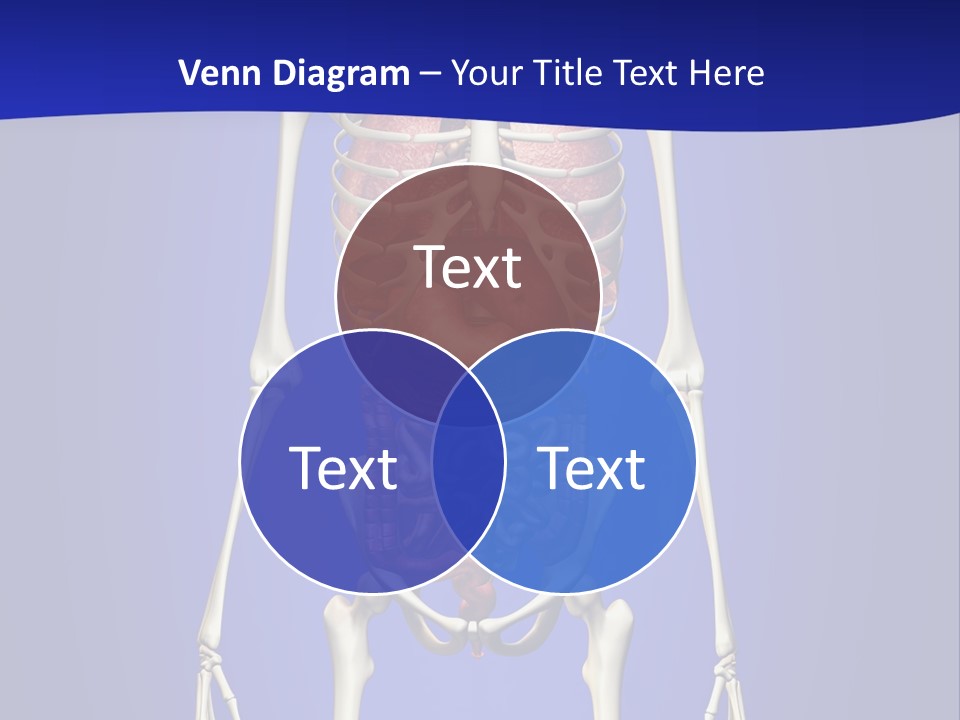 Anatomy Healthy Education PowerPoint Template