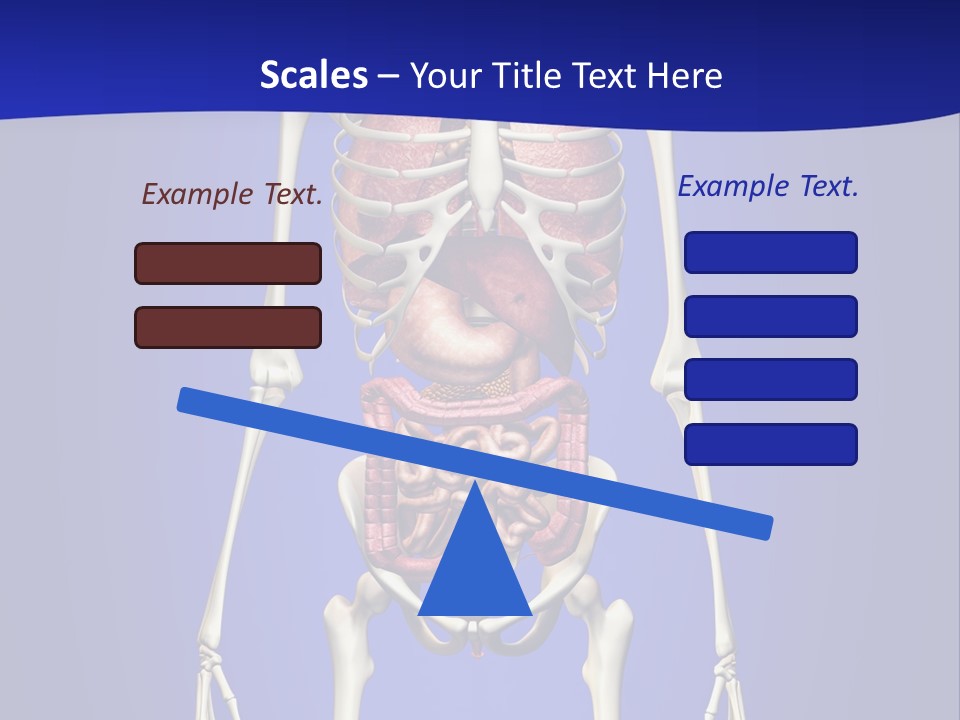 Anatomy Healthy Education PowerPoint Template