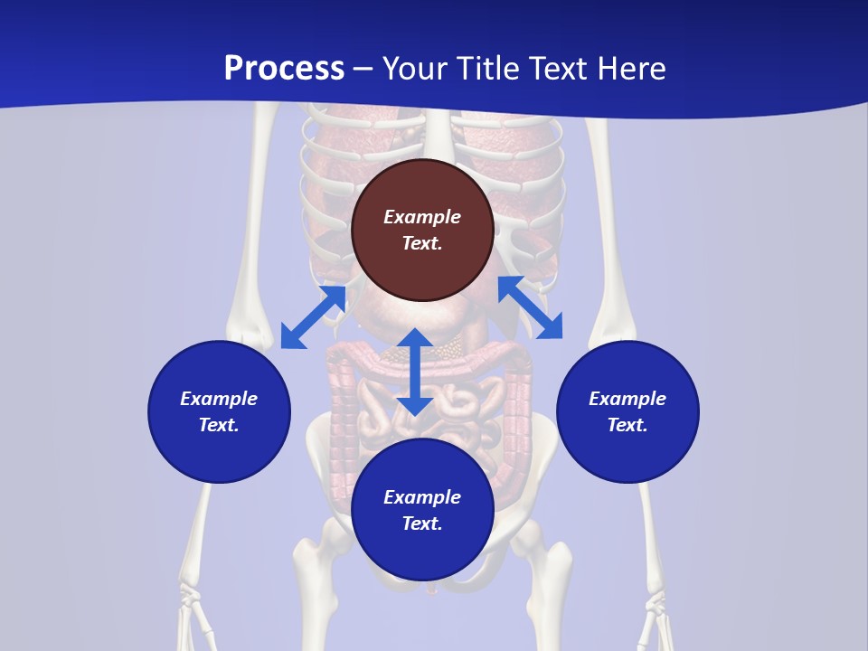 Anatomy Healthy Education PowerPoint Template