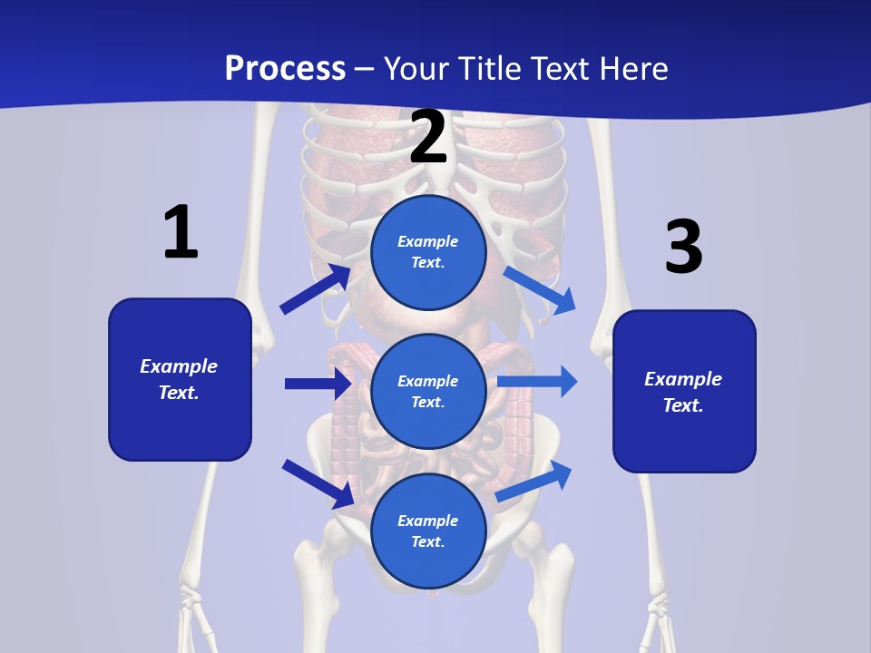 Anatomy Healthy Education PowerPoint Template