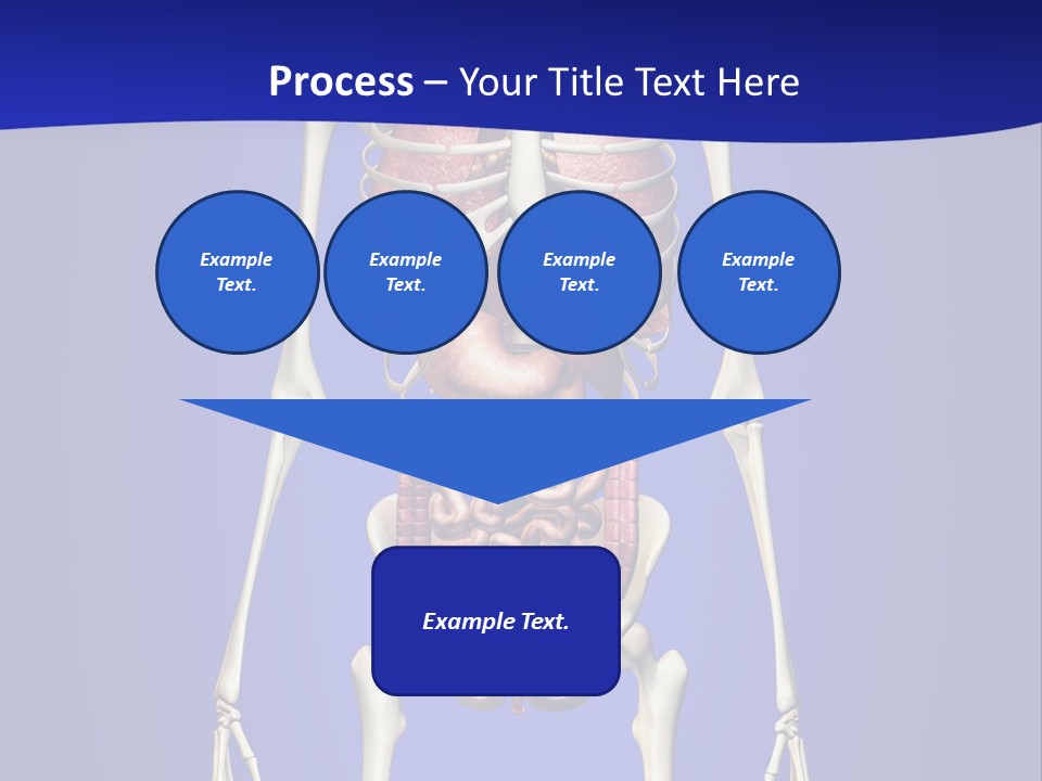 Anatomy Healthy Education PowerPoint Template
