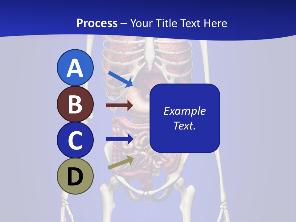 Anatomy Healthy Education PowerPoint Template