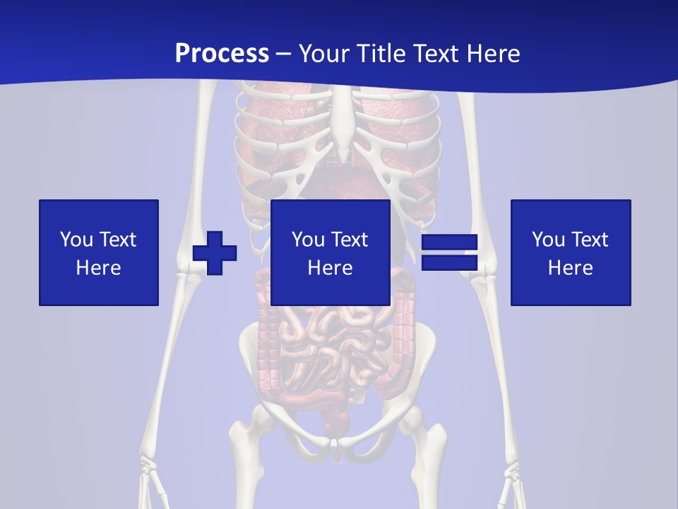 Anatomy Healthy Education PowerPoint Template