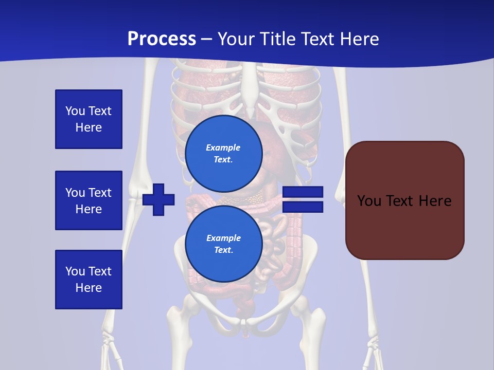 Anatomy Healthy Education PowerPoint Template