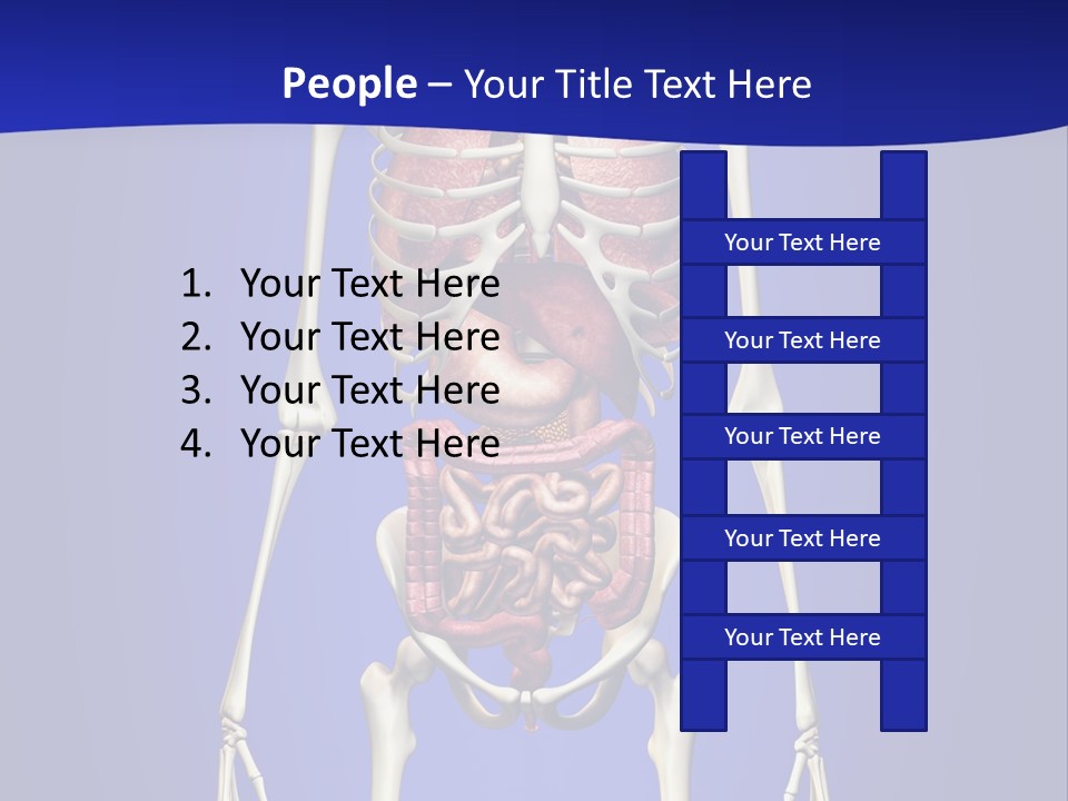 Anatomy Healthy Education PowerPoint Template