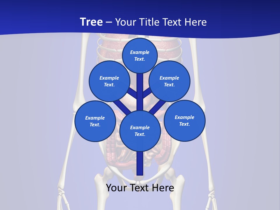 Anatomy Healthy Education PowerPoint Template
