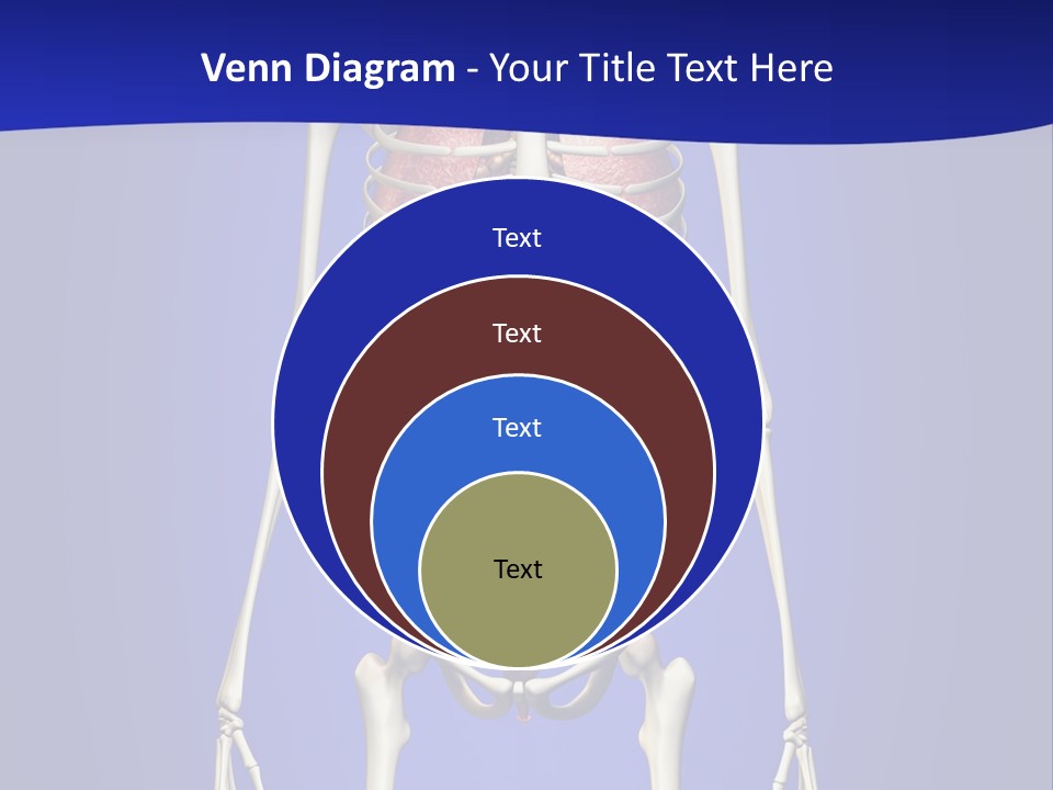 Anatomy Healthy Education PowerPoint Template