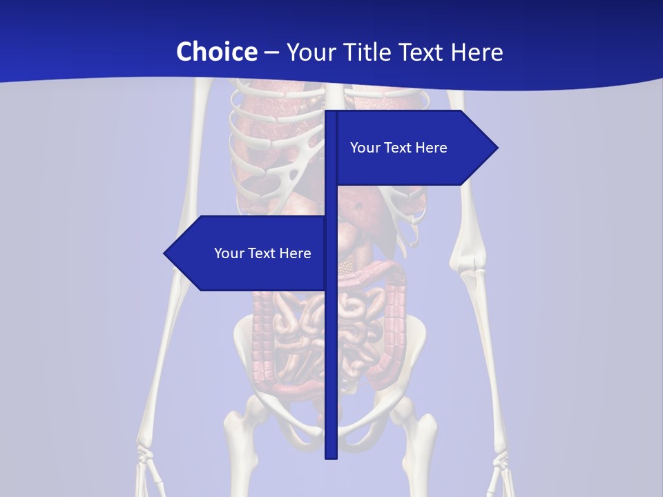 Anatomy Healthy Education PowerPoint Template