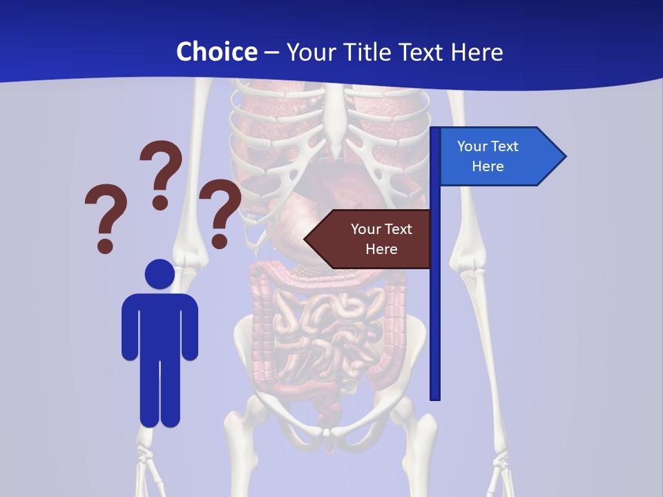 Anatomy Healthy Education PowerPoint Template