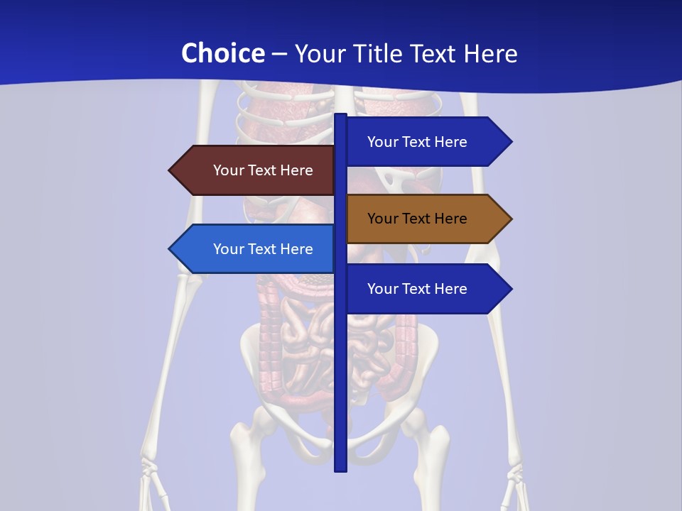 Anatomy Healthy Education PowerPoint Template