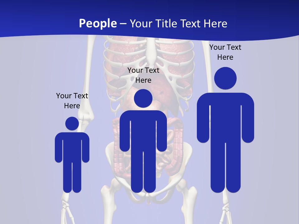 Anatomy Healthy Education PowerPoint Template