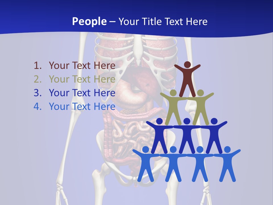 Anatomy Healthy Education PowerPoint Template