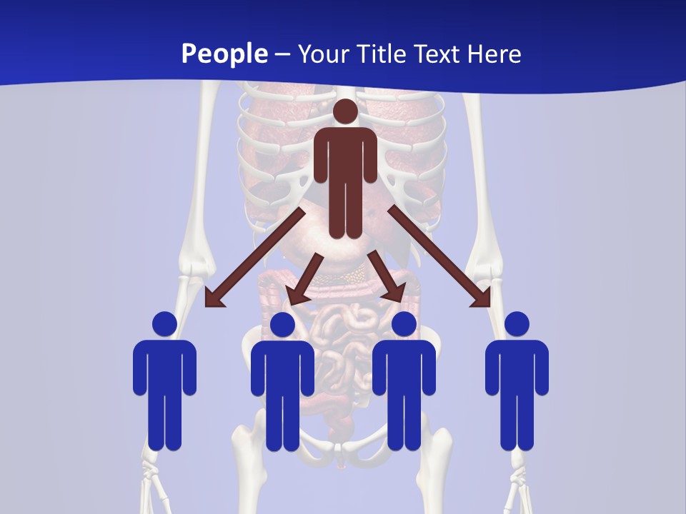 Anatomy Healthy Education PowerPoint Template
