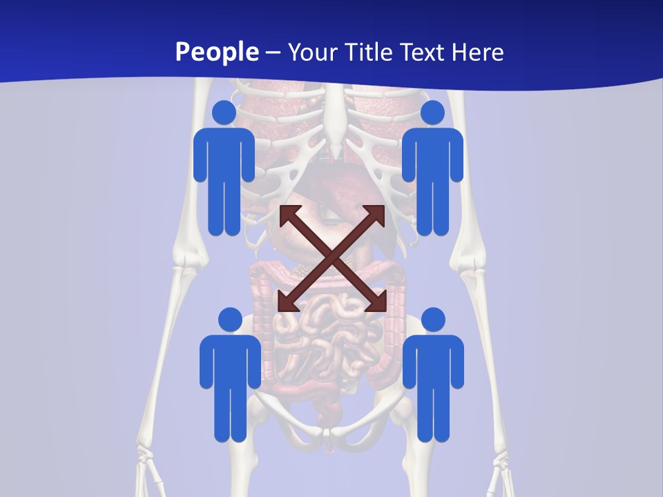 Anatomy Healthy Education PowerPoint Template