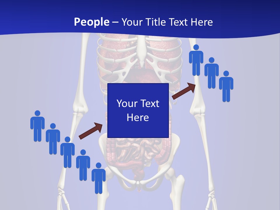 Anatomy Healthy Education PowerPoint Template