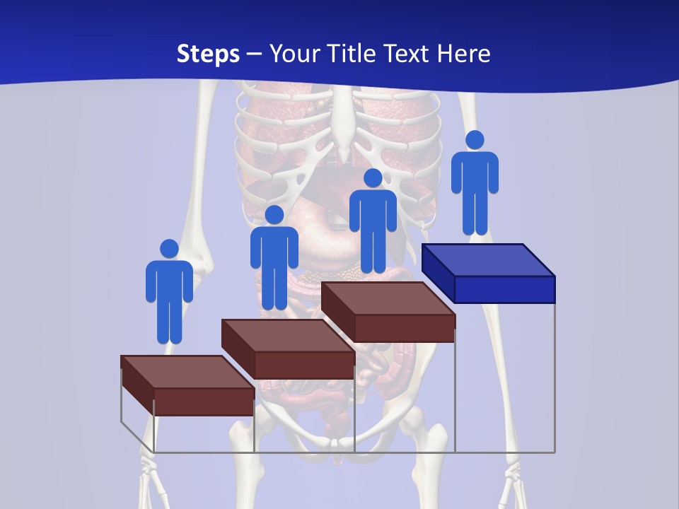 Anatomy Healthy Education PowerPoint Template