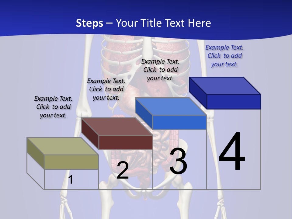 Anatomy Healthy Education PowerPoint Template