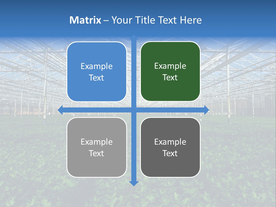 Spice Interior Production PowerPoint Template