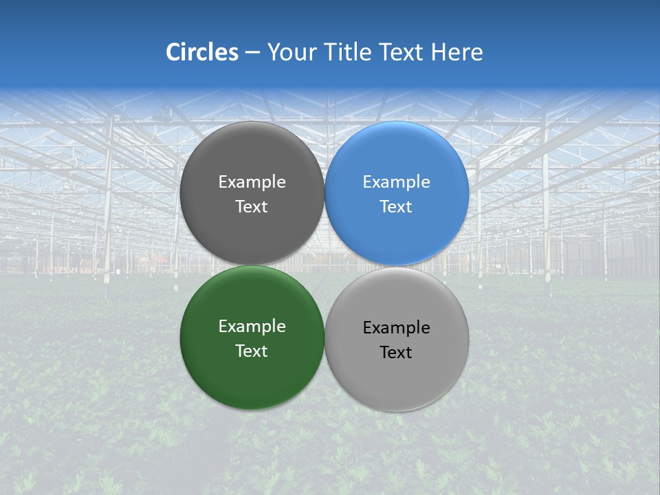 Spice Interior Production PowerPoint Template