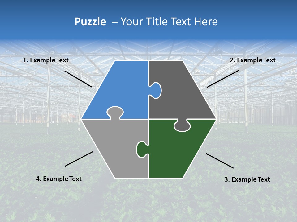 Spice Interior Production PowerPoint Template