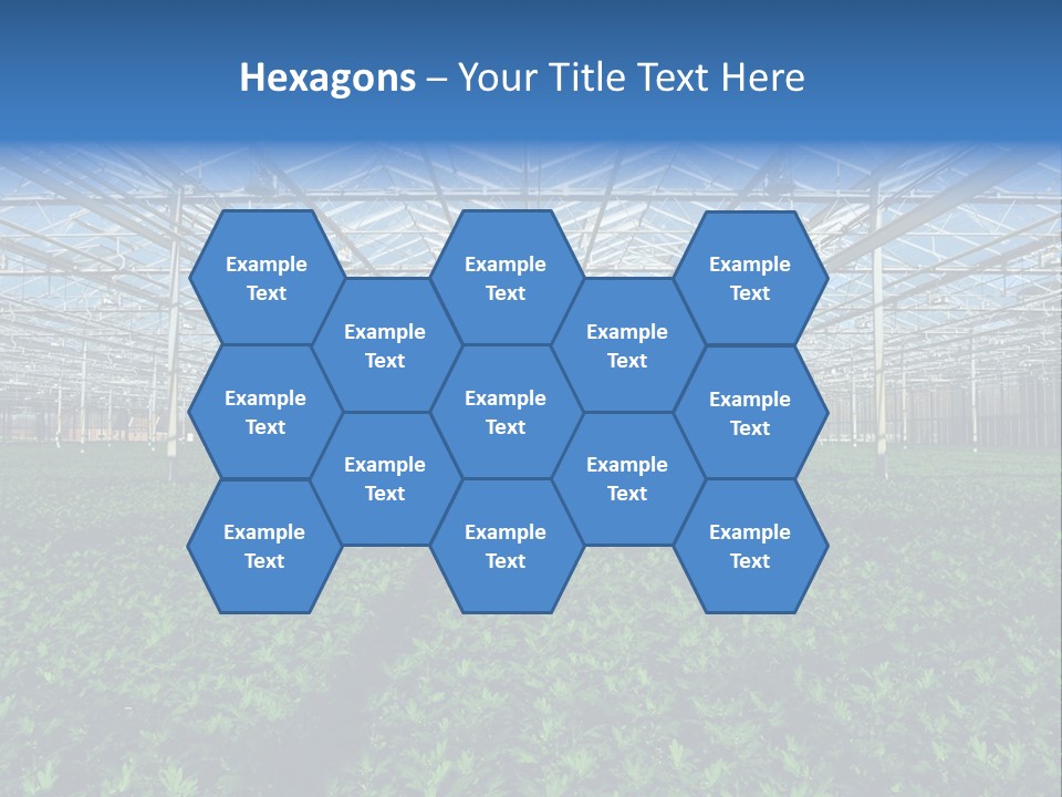 Spice Interior Production PowerPoint Template