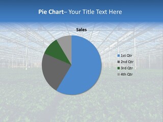 Spice Interior Production PowerPoint Template