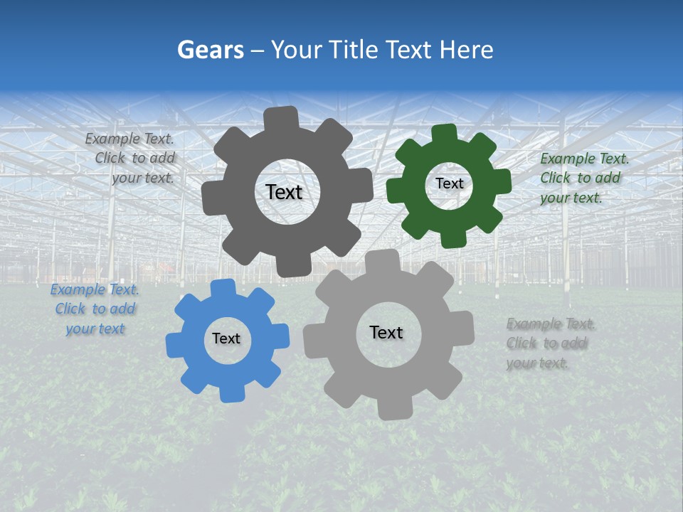Spice Interior Production PowerPoint Template