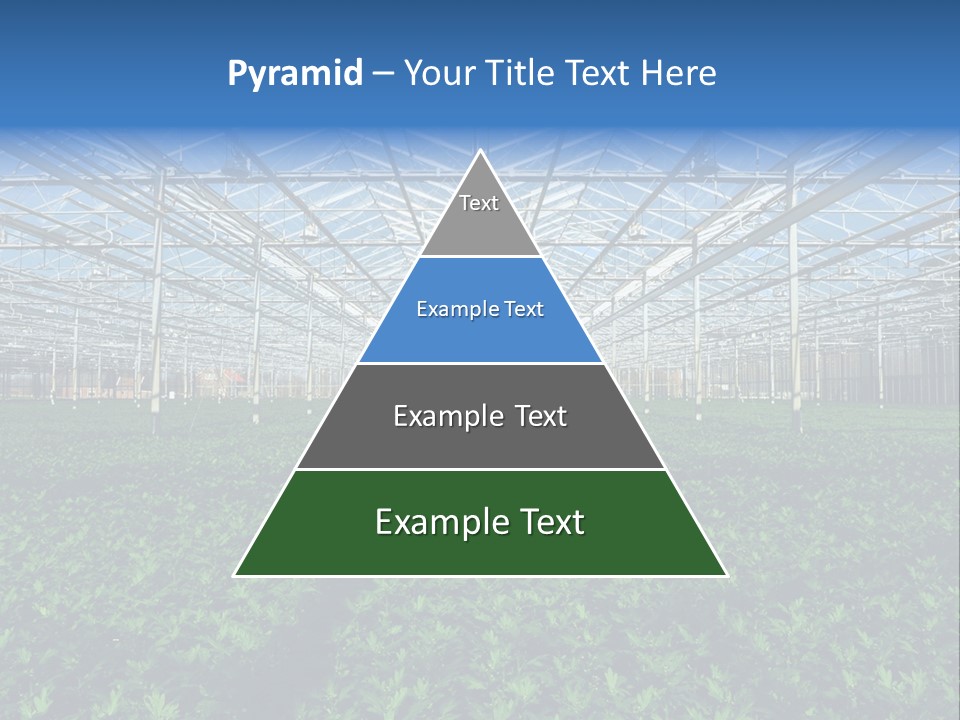 Spice Interior Production PowerPoint Template