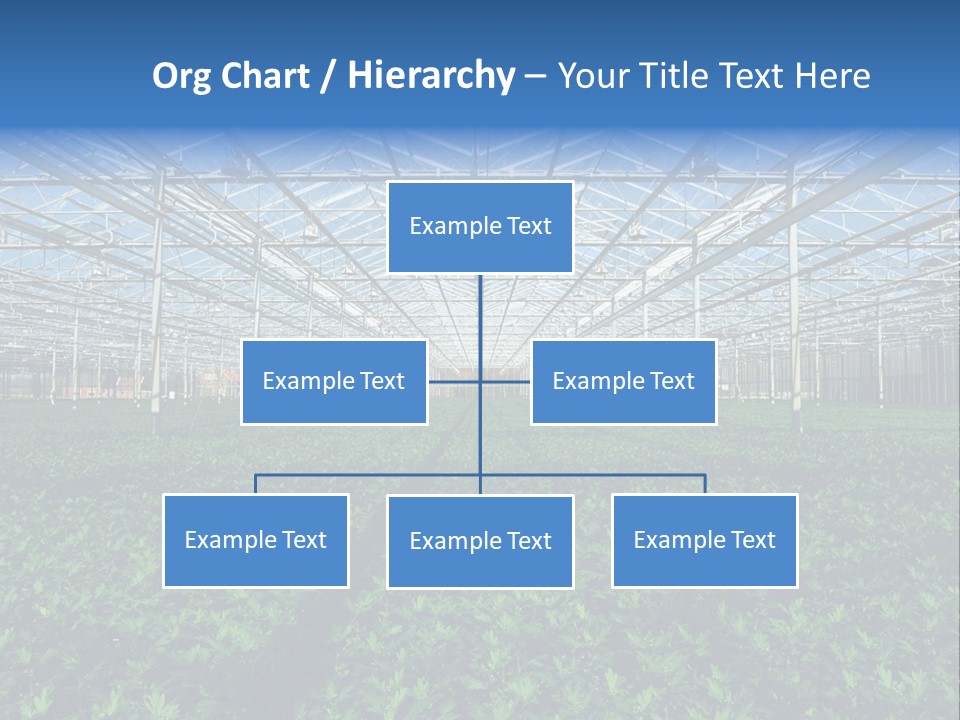 Spice Interior Production PowerPoint Template