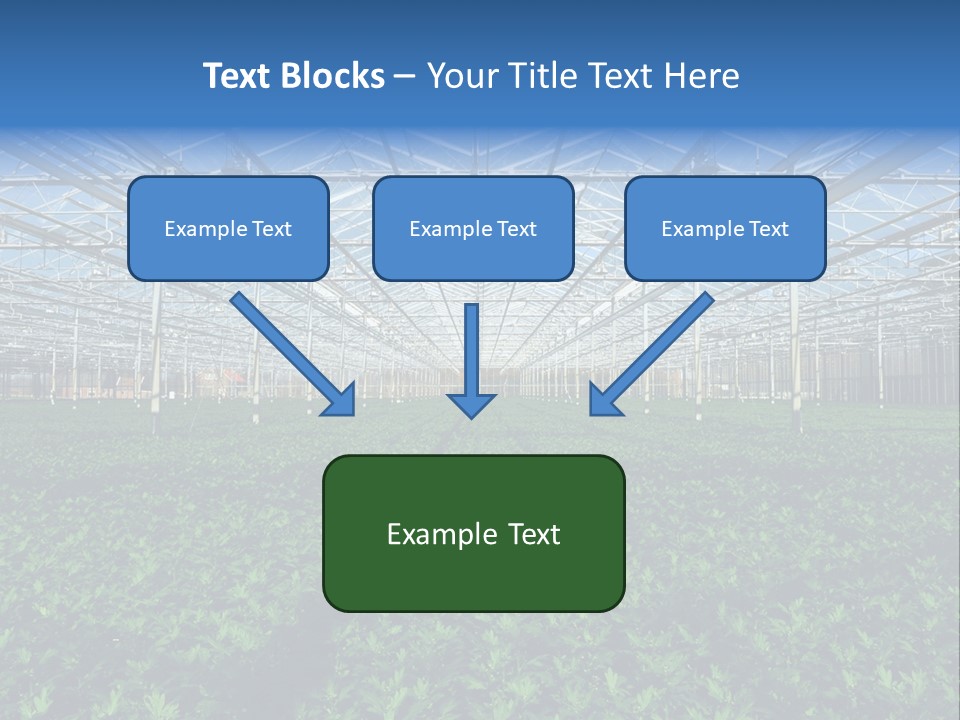 Spice Interior Production PowerPoint Template
